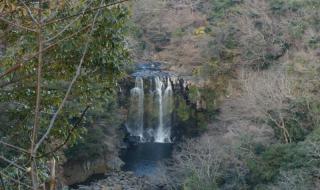 溪水长流小花喵 溪水长流小花喵