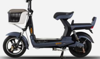 新日电动车 新日电动车