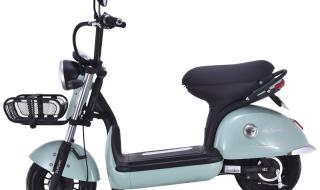 新日电动车 新日电动车