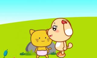 小花猫儿歌 小花猫儿歌